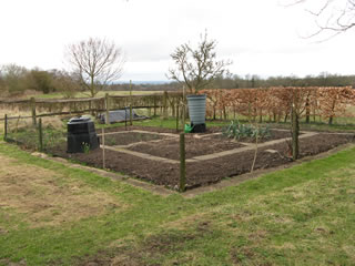 Vegetable Garden in March